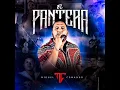 Miguel Comando - El Pantera En Vivo Con Tololoche