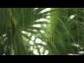 Download Lagu Pogo - Where I Belong