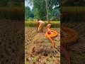 Download Lagu Fake Snake 🐍 Prank With Farmer #shorts