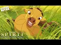Download Lagu Baby Spirit | Spirit: Stallion of the Cimarron (2002) | Screen Bites