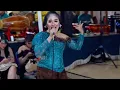 Download Lagu ERIN SABRINA ~ pertelon pungkruk