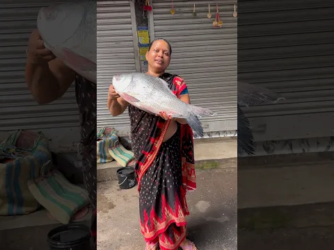 Aj mummy 8Kg ka Katla machli Laayi 😳🐠 #minivlog #dailyvlog #shorts #vlogs