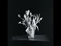 if it's not you - PRYVT