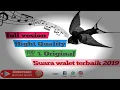 Download Lagu Full version Suara walet terbaik 2019 - 100% Original Hight Quality