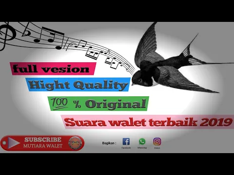Download MP3 Full version Suara walet terbaik 2019 - 100% Original Hight Quality