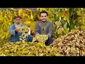 Download Lagu Afghan Almond | Kabul Khaki Jabbar | افغان بادام | کابل خاکجبار