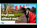 Download Lagu The cost of owning a greyhound
