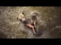 THE JUNGLE BOOK - Bare Necessities (clip)