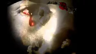 لطفي الورغمي عجايب يا دنيا عجايب 