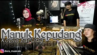 manuk kepudang cover koplo tarling diora musicale 