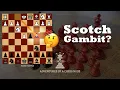 Scotch Gambit | How do I defend against it?