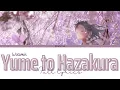 Download Lagu 【Japanese Song】Yume to Hazakura - Wotamin『KAN/ROM/ENG』
