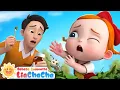 Download Lagu Ibu Tolong,Bayi Gatal | Lagu Gatal Gatal | Kebiasaan Baik | Lagu Anak | ☀️LiaChaCha Bahasa Indonesia