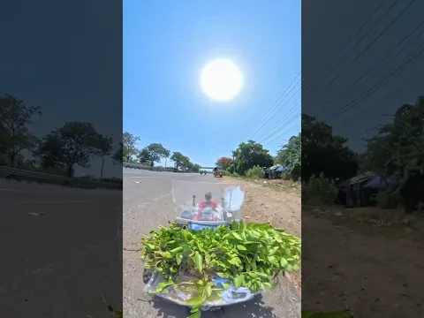 Buying vegetables with an rc car. 🥦🥕🌽