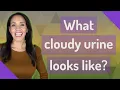 What cloudy urine looks like