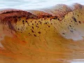 APES Unit 9-1 Water Pollution
