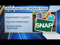 Replacement SNAP benefits offered for lost food