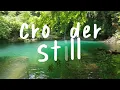 Crowder   Still