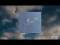 Freedom - Ron Adelaar // 1 hour loop // rain