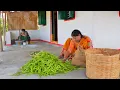 Download Lagu Indian village traditional life \u0026 indian farmers life | indian village traditional recipe's 
