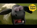 Download Lagu What's Wrong Timmy! 🐑 Shaun the Sheep 🐑 - Cartoons for Kids 🐑 Full Episodes Compilation [1 hour]