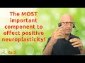 Understanding Neuroplasticity for recovery from Fibromyalgia POTS MCS Brain-Training