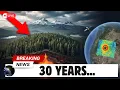 A Forest in Oregon Has Been Rising for 30 Years Nobody Saw It Happen