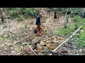 Download Lagu Rawa Kebun Karet Mengering, Banyak Ikan Terjebak Kekeringan Tinggal Pungut.