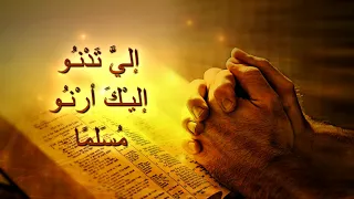 نزار فرنسيس   ترنيمة وكلمات في وقت ضعفي   مؤتمر كشجرة مثمرة دندنها