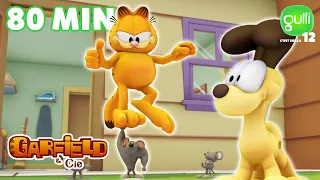 La RENTRÉE SPORTIVE de GARFIELD !! 💪🏼😂 M6+