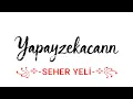 Yapayzekacann/꧁࿇-SEHER YELİ-࿇꧂/AI Music