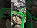 Download Lagu Freshly fresh seafood BBQ in Itoshima#BBQinjapan #seafoodbbq#oyster#abalone #scallop#liveseafood