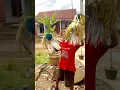 ADU TEROMPET MENJELANG TAHUN BARU #shorts