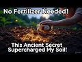 Lagu This Ancient Secret Made My Soil Microbe Rich in Days - No More Fertilizer Needed