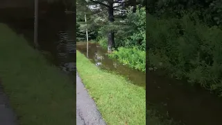 Flood Wheather Floods Disaster Lake Truro Novascotia Trurons Kiwanislake Damn 