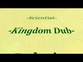 Wailing Souls & Roots Radics - Kingdom Rise Dub
