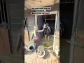 Download Lagu Weet jij hoe het gaat als een pony naar de tandarts moet?