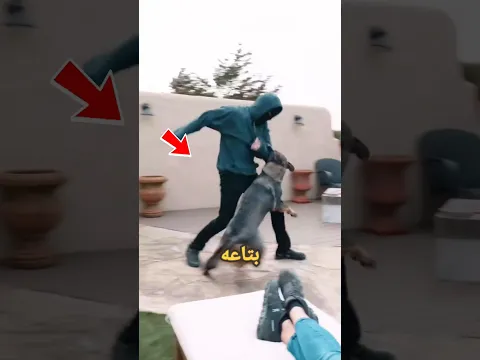 الكلب تسبب في وفاة صاحبة 😱