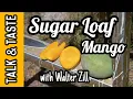 Talk \u0026 Taste | 'Sugar Loaf' Mango with Walter Zill