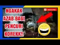 Download Lagu Azab pencuri korek, azab pencuri korek teman