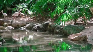 حالات واتساب دينية أفضل مناظر طبيعية تريح القلب أفضل كلام محفز 