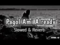 Lagu Pagol Ami Already | Slowed \u0026 Reverb | Khiladi | Zubeen Garg \u0026 Mahalaxmi lyer | Bangla Romantic Lofi