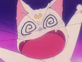 i watch sailor moon for the plot