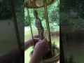 Setting up your new Hanging Rain Lamp