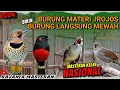 Download Lagu MATERI JROJOS KELAS NASIONAL!! MASTERAN TEMBAKAN KASAR UNTUK ISIAN BURUNG LOMBA - MEWAH