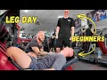 Lagu #240 - DDS | Leg Day with two Beginners (I Pushed them Hard!)