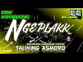 Lagu Kendang NGEPLAK Campursari CEK SOUND • TALINING ASMORO • TESS MIDELAN🎶