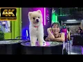 Download Lagu 4K ► Bun Kanchana ● Welcome Jomtien Road ● Soi White House ● Pattaya ● September 2025 ● 155