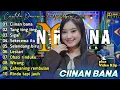 Lagu Ciinan Bana - Cantika Davinca Full Album | Dangdut Koplo Terbaru 2024 | Tang Ting Tung,Sigar,Lestari
