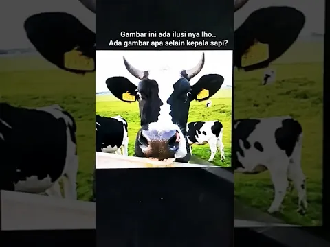 ilusi kepala sapi, ada gambar  ap lagi yg kmu liat?# shorts# #shortvideo#shortsfeed#harusberanda